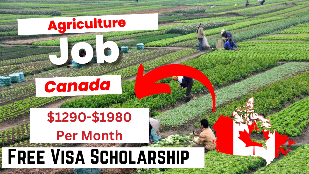 Agriculture Jobs in Canada with Work Visa Sponsorship