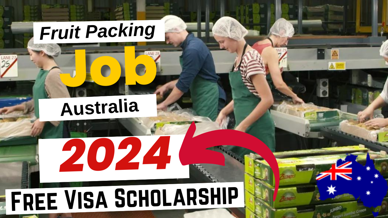 Fruit Packing Jobs in Australia Free Visa Sponsorship 2024 (1)