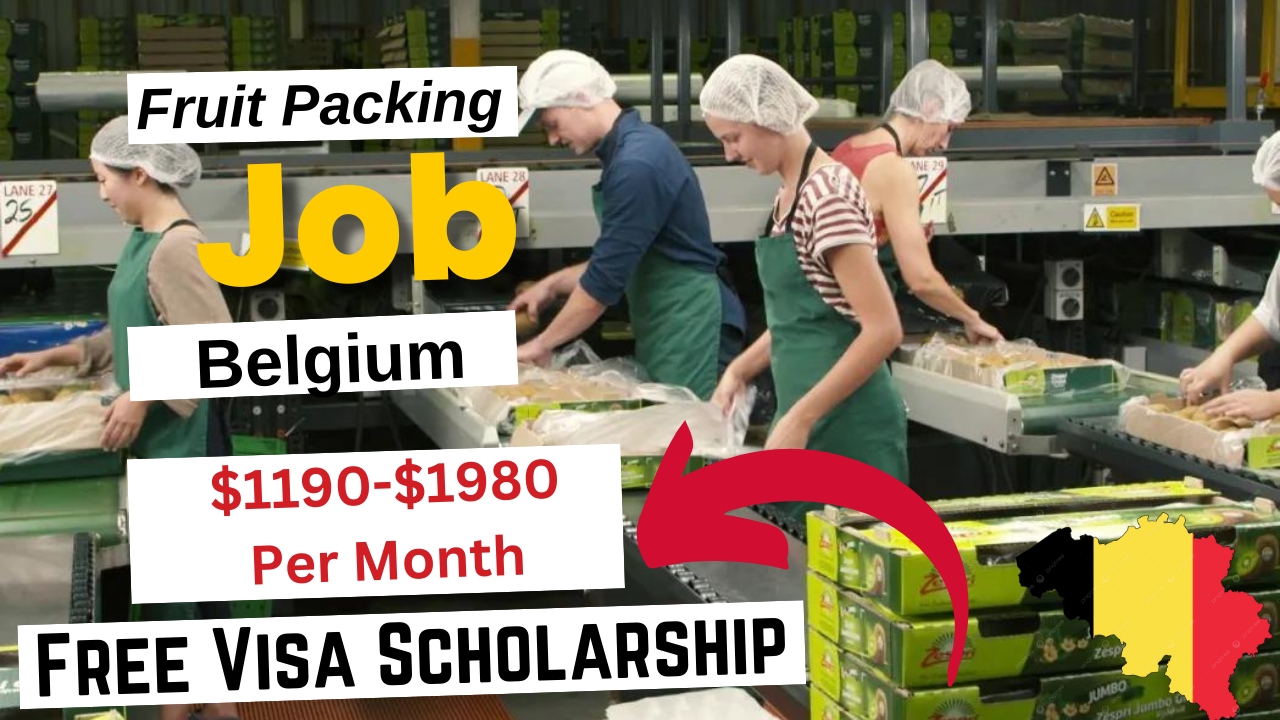 Fruit Packing Jobs in Belgium with Free Visa Sponsorship