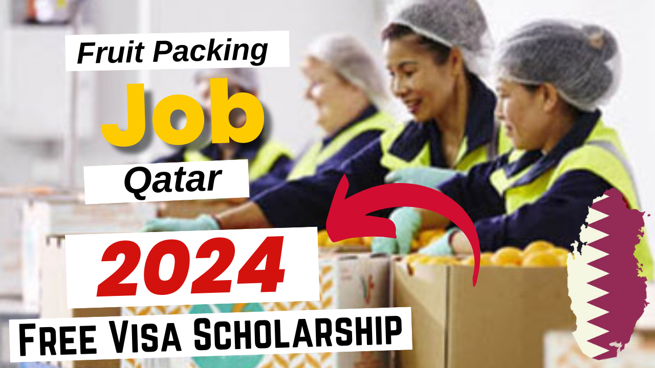 Fruit Packing in Qatar with Free Visa Sponsorship 2024