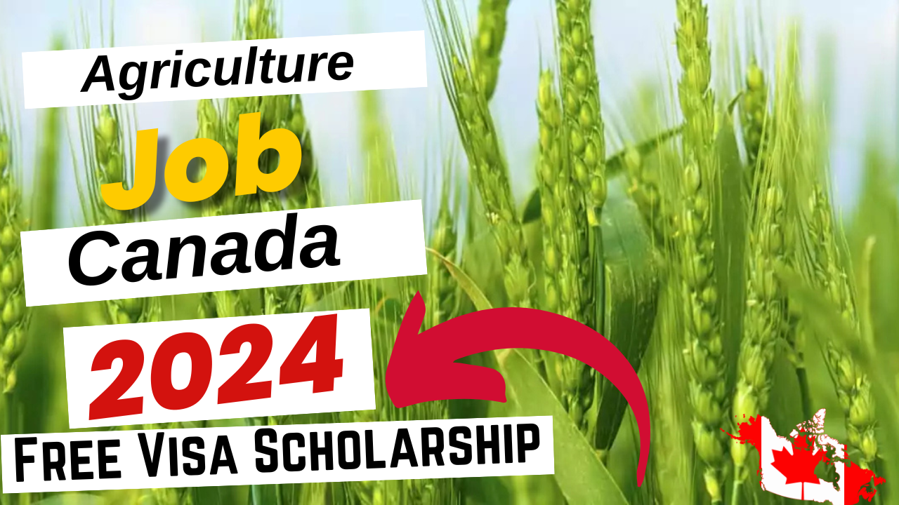 Agriculture Jobs in Canada with Free Visa Sponsorship 2024