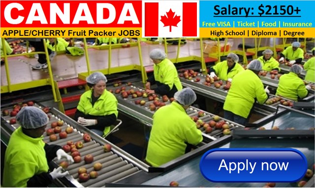 Fruit Packing Job in Canada - SunSelect Produce Careers