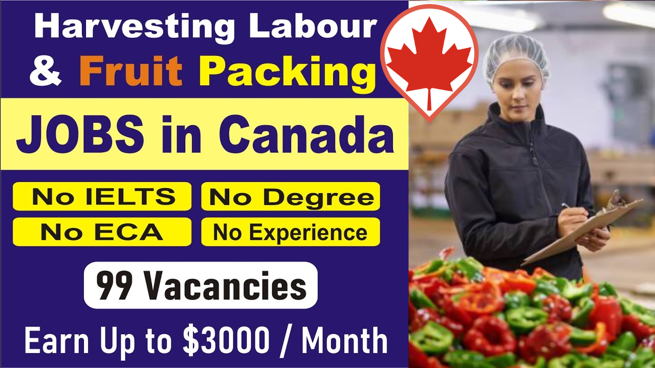 Harvesting and Food Packaging Job in Canada - Loblaw Careers