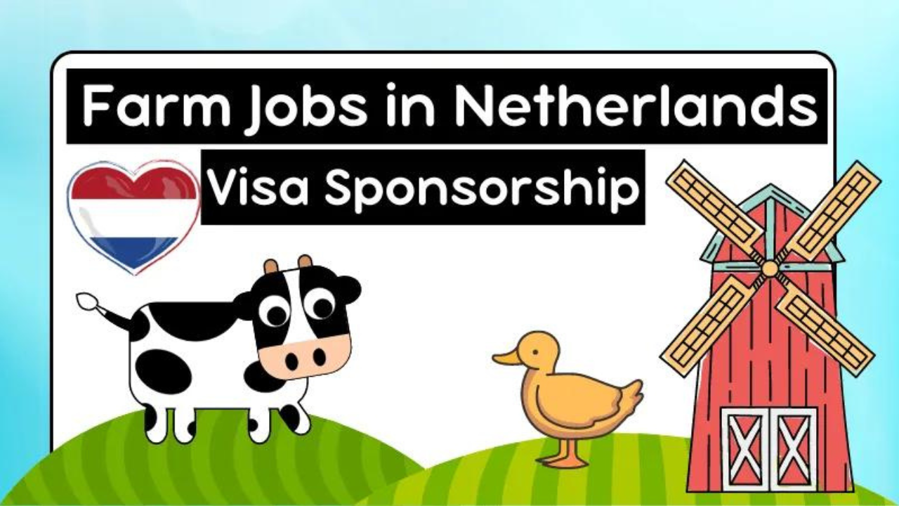 Farm Worker Job in Netherlands – Greenyard Careers