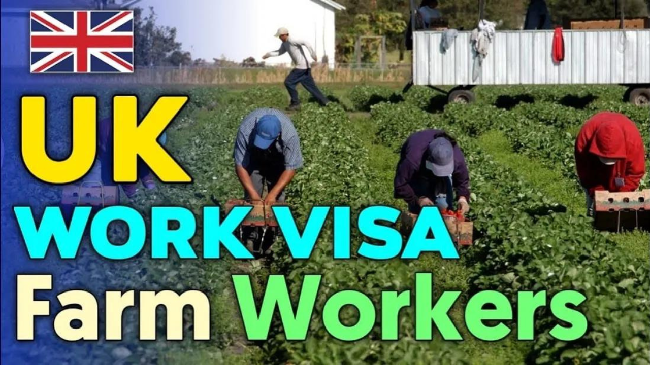 Farm Workers Jobs in the United Kingdom – British Farms Careers