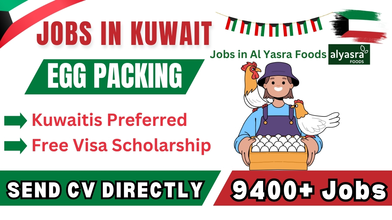 Egg Packing Worker Job in Kuwait – Al Yasra Foods Careers