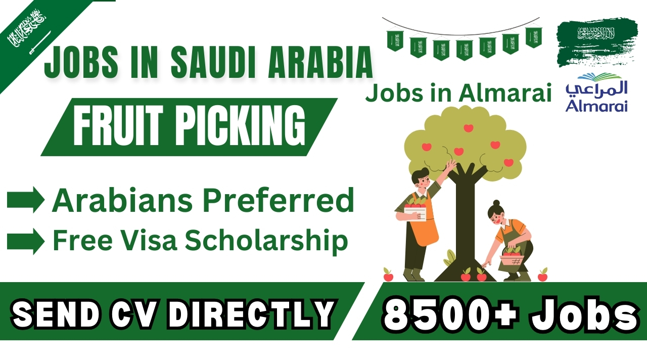 Fruit Picking Job in Saudi Arabia - Almarai Careers