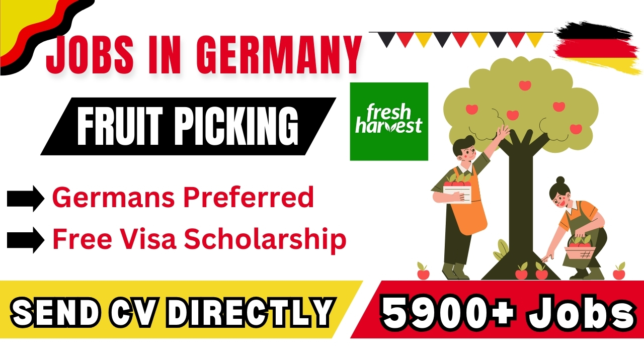 Fruit Picking Jobs in Germany – Fresh Harvest Careers