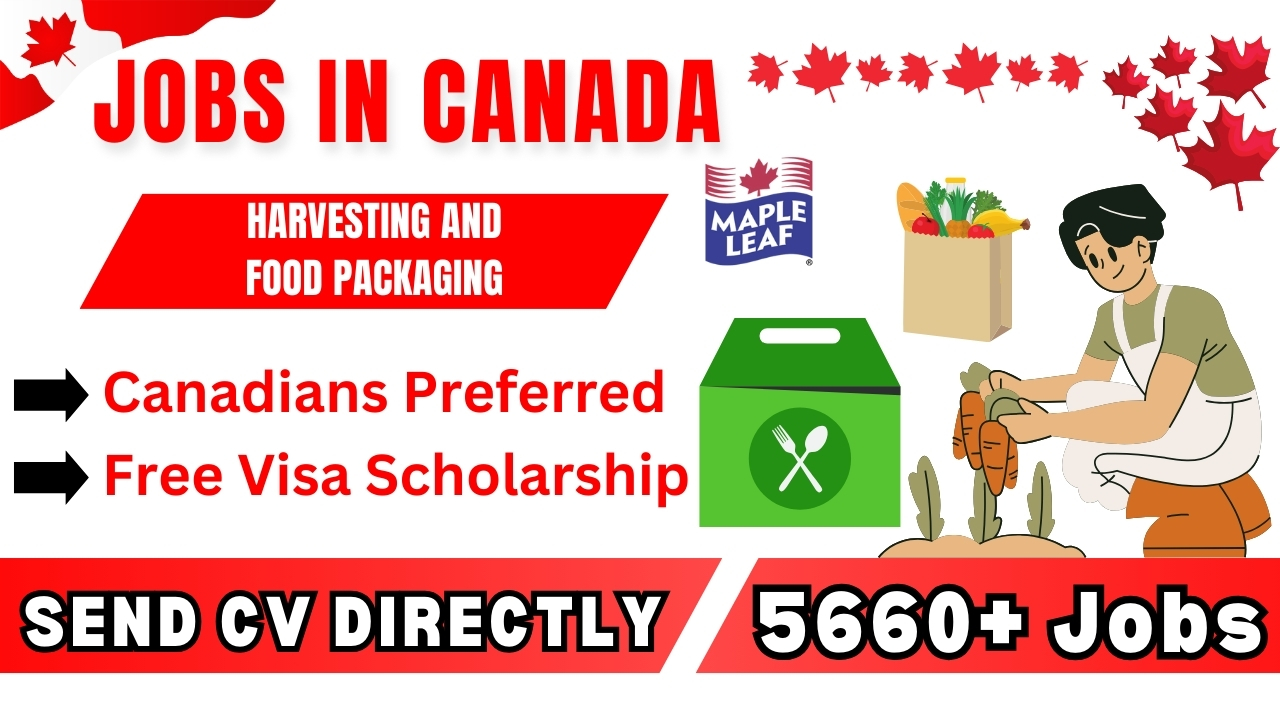 Harvesting and Food Packaging Jobs in Canada – Maple Leaf Foods Careers