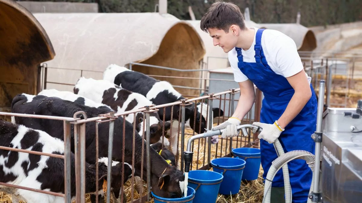 Dairy Farm Worker job at A R Boulet Inc, Quebec Canada