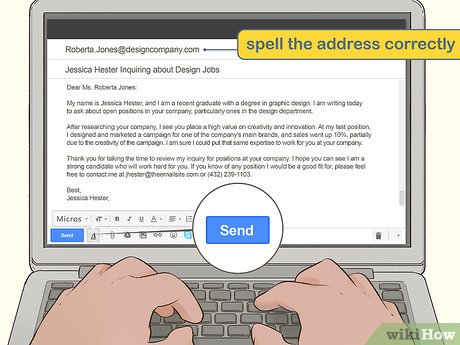 Job Opportunity Response Email Examples