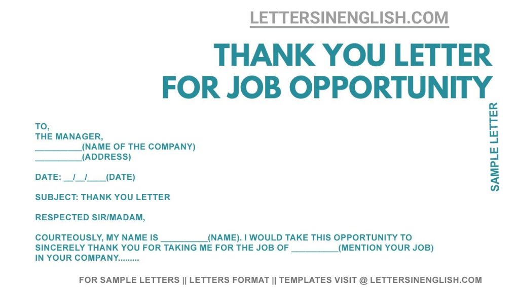 How to Thank a Recruiter for a Job Opportunity Email
