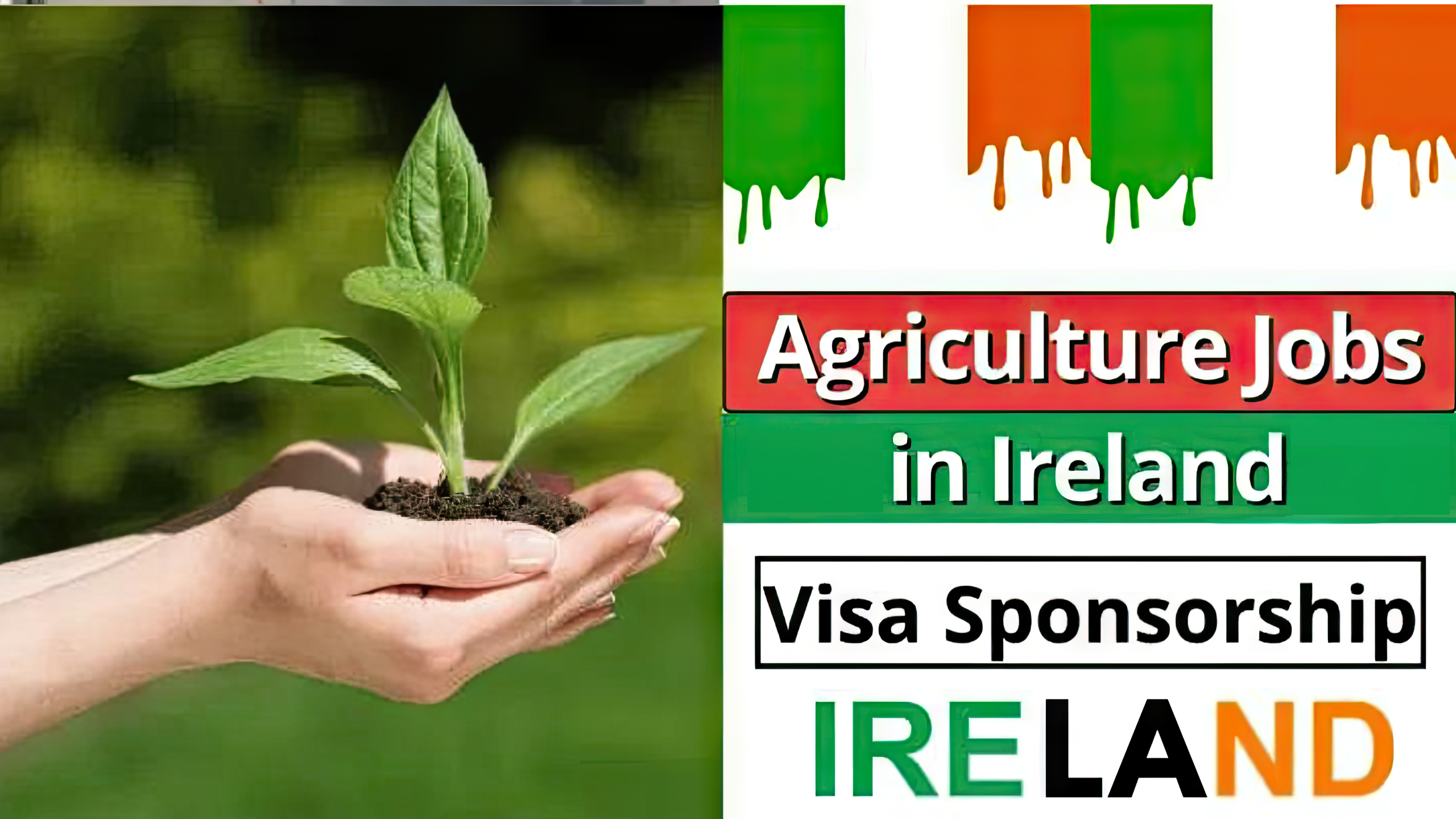 Agricultural Worker Jobs in Ireland with Free Visa Sponsorship