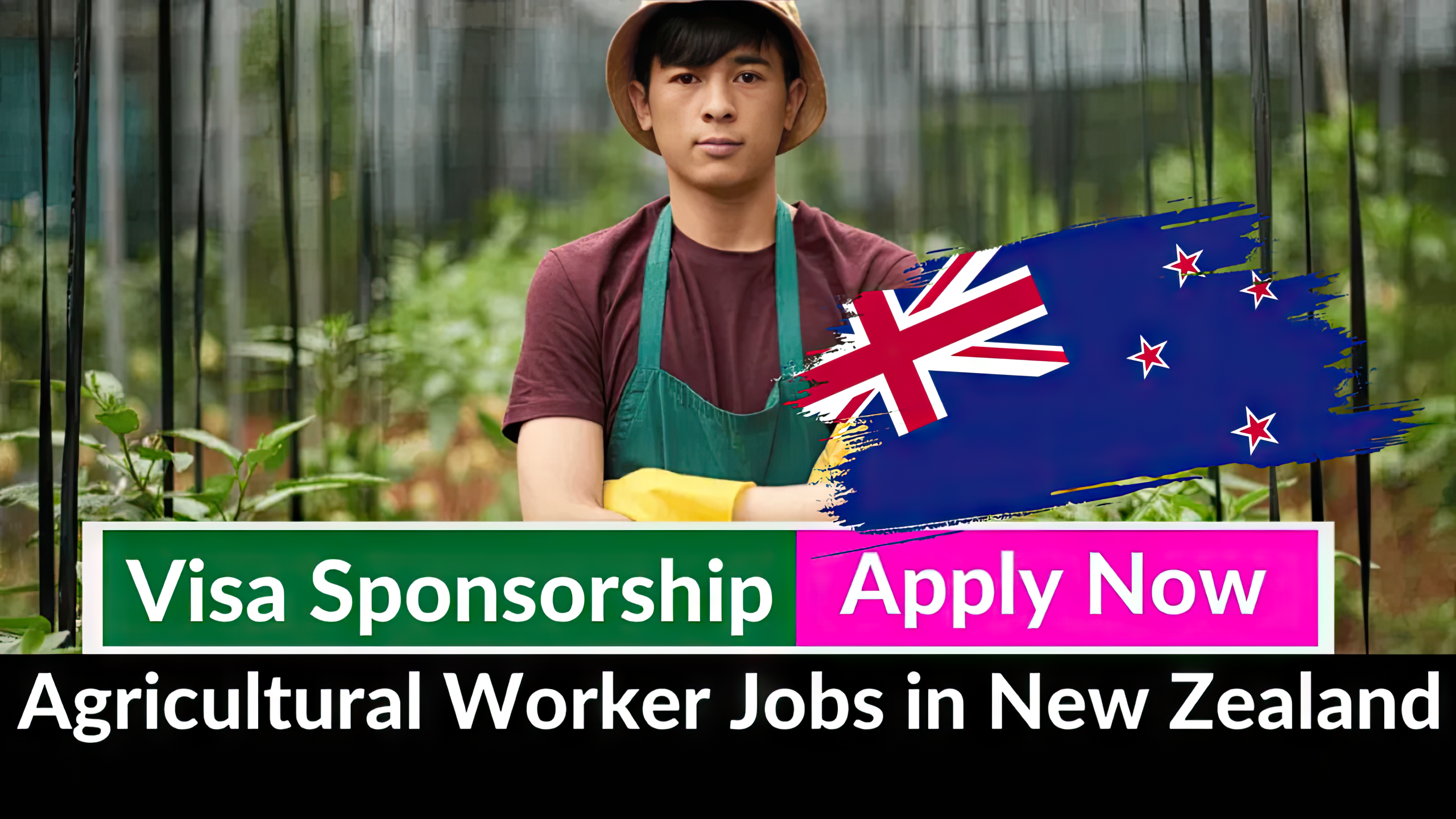 Agricultural Worker Jobs in New Zealand Free Work Visa Sponsorship