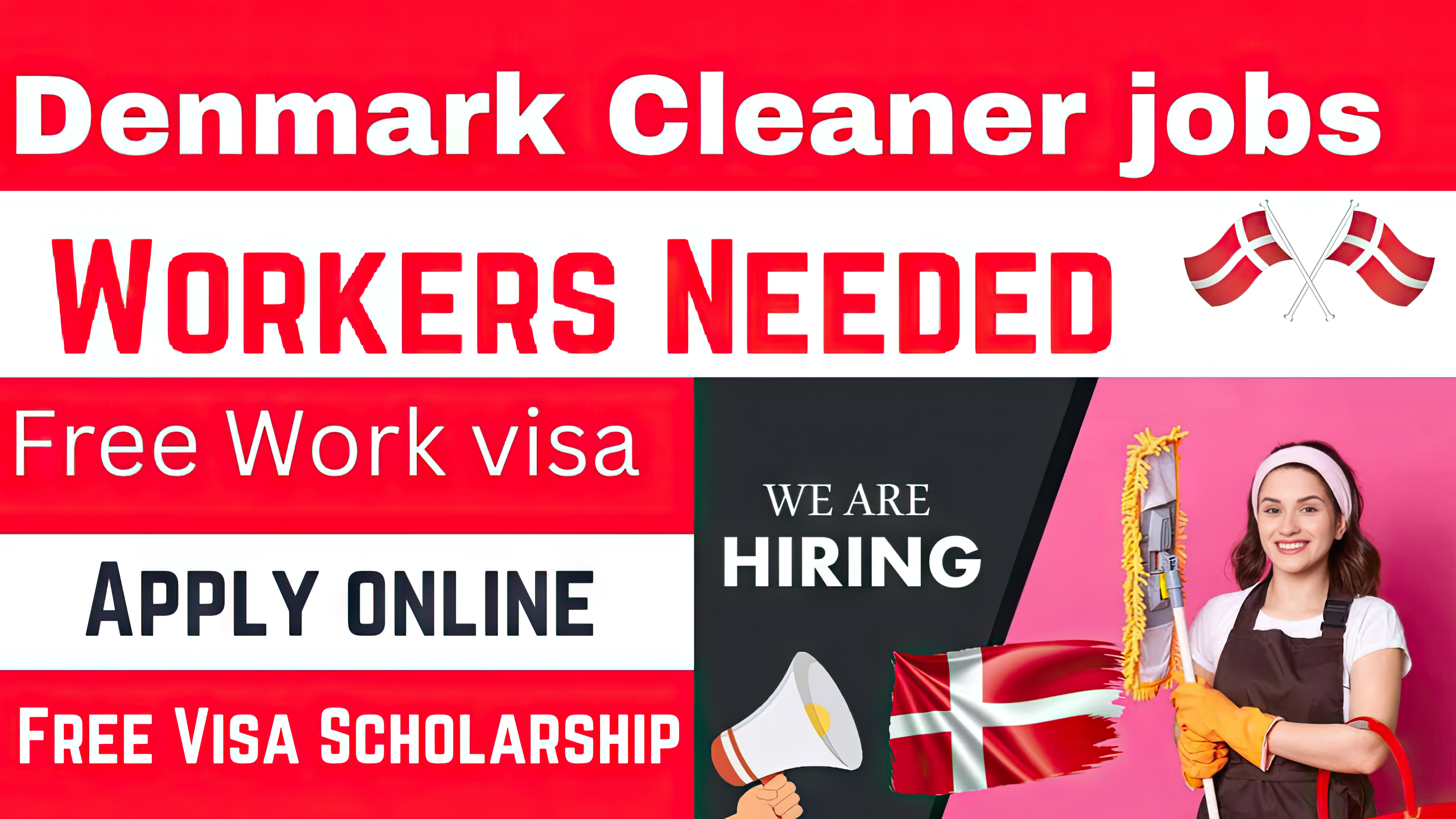 Cleaner Jobs in Denmark with Free Visa Scholarship