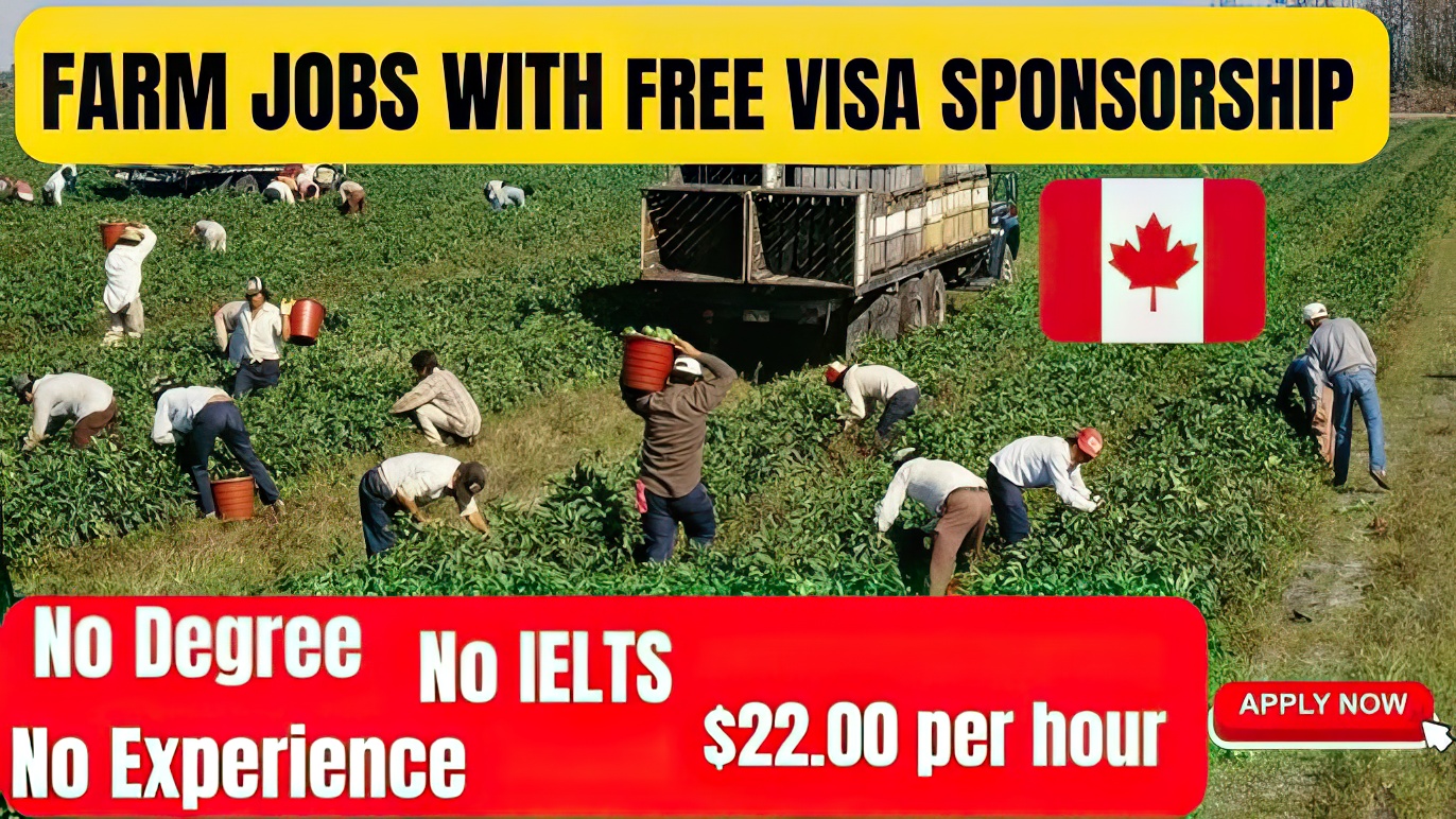 Farm Jobs in Canada with Free Visa Sponsorship No Degree, No IELTS, & No Experience
