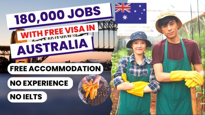 Farm Work Jobs in Australia with Free Accommodation, No Experience, and No IELTS