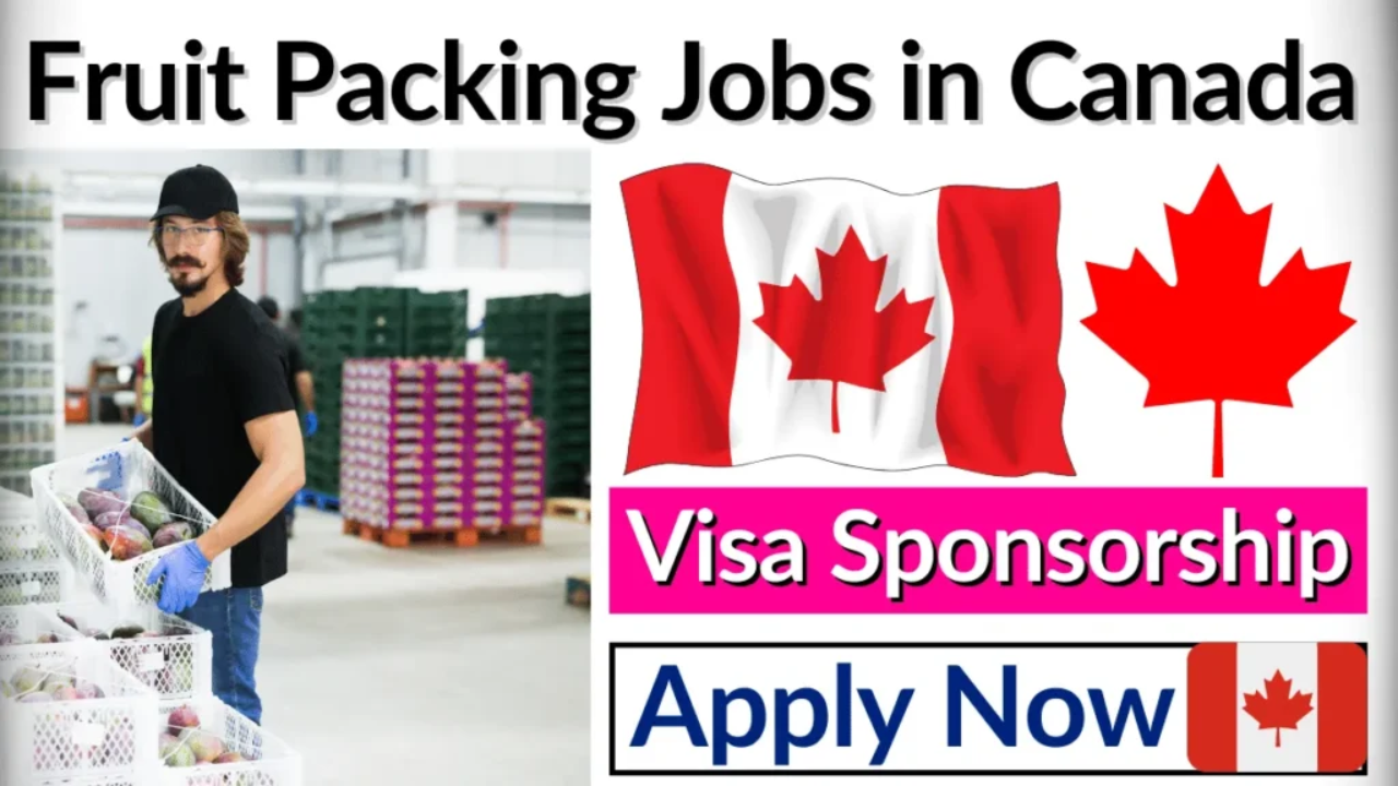 Fruit Packaging Jobs in Canada Free Visa Sponsorship