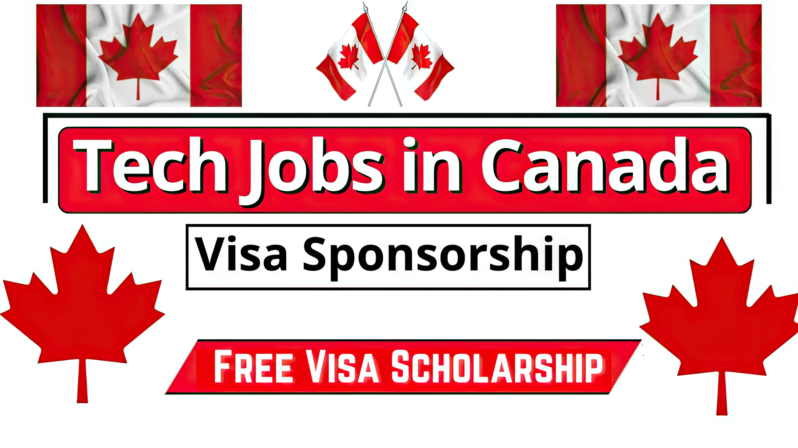 Technical Workers Jobs in Canada with Free Visa Sponsorship 20242X-art-scale-2_00x
